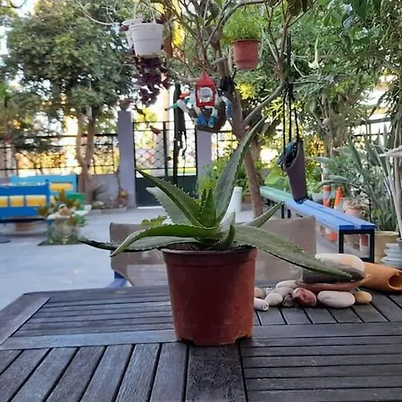 Amethyst Appartement